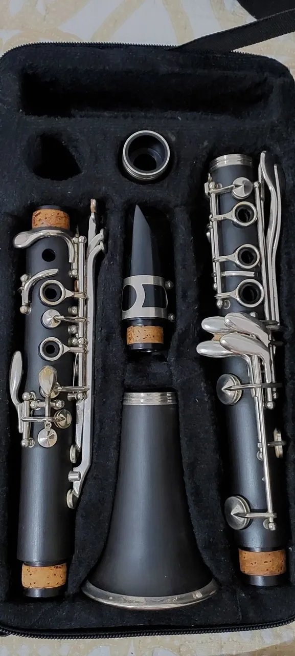 Clarinete (semi novo)