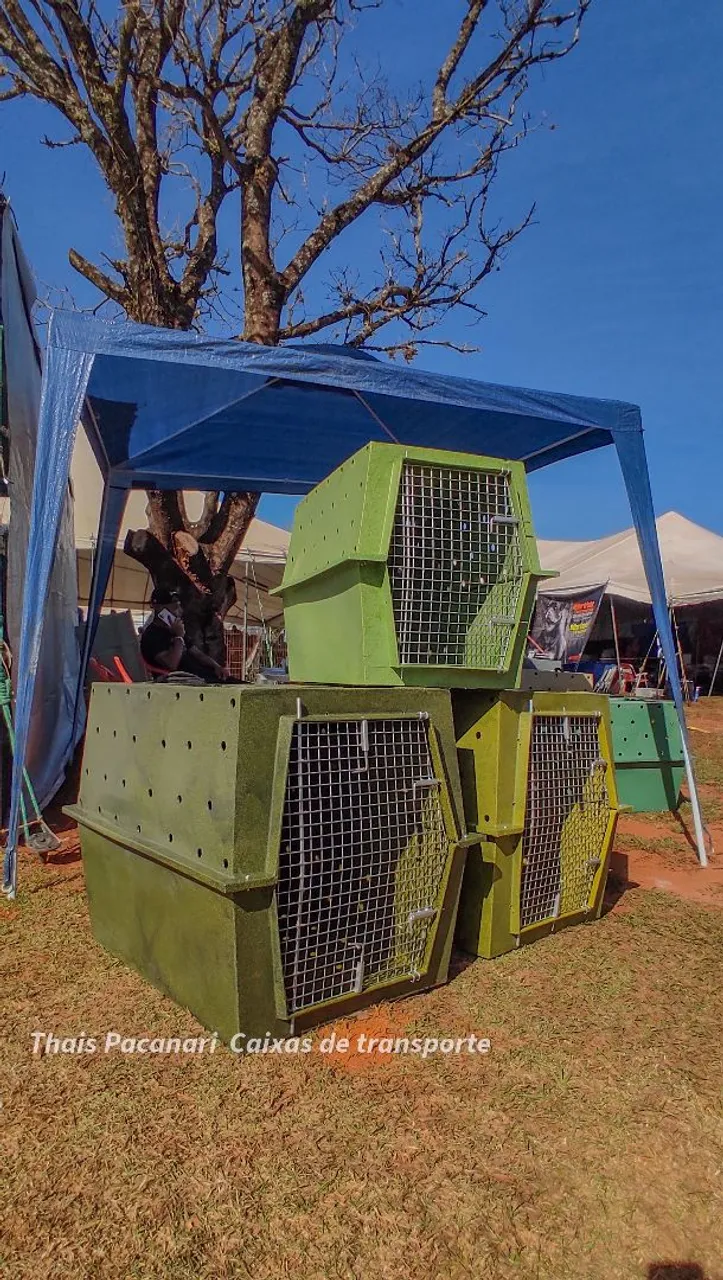 Caixas de transporte para animais - Diversos tamanhos