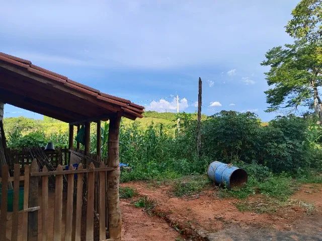 Chácara com pomar em produção - Foto 10