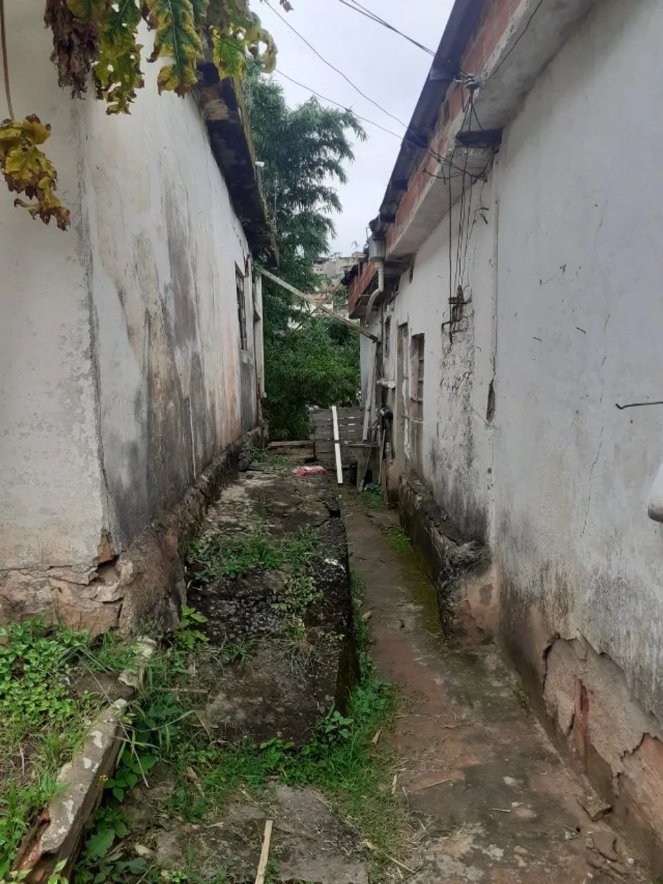 Foto - Juiz de Fora - Ipiranga