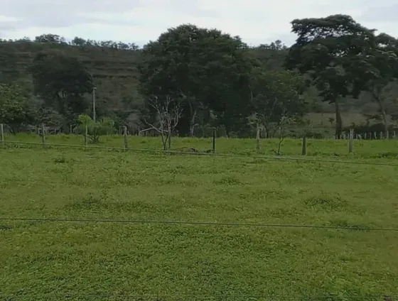 VENDA DE FAZENDA HÁ 59 KM DA CAPITAL PALMAS/TO