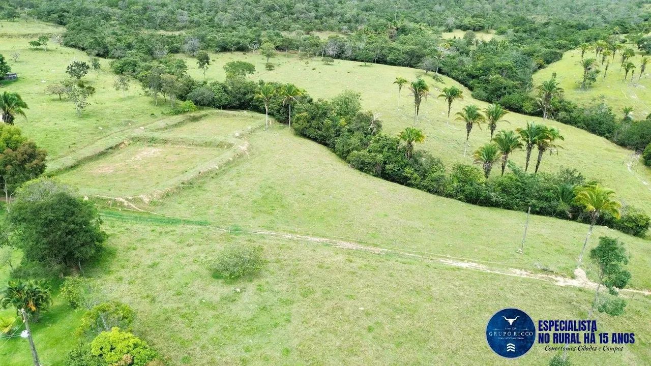 Fazenda de 40 Alqueires em Cocalzinho de Goiás - GO 40 Alqueires