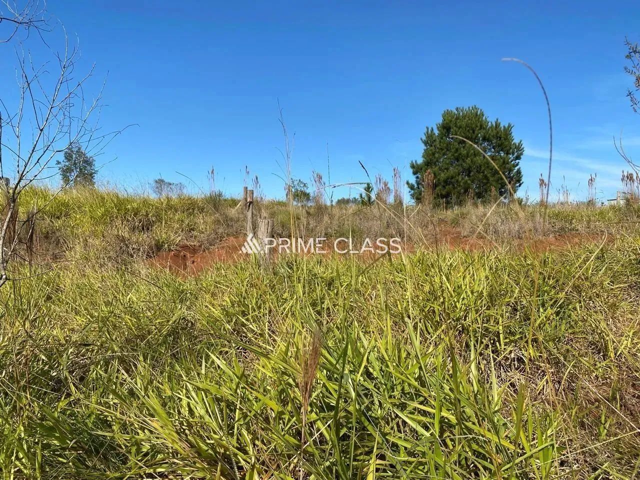 Terrenos a venda proxímo a Ulbra bairro- São José - Foto 4