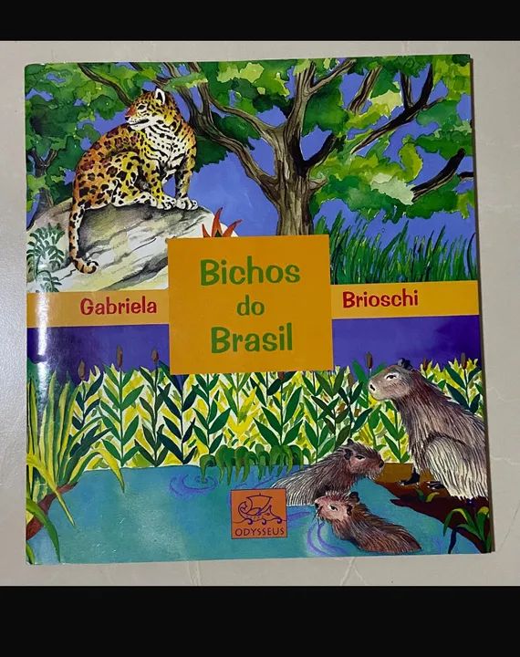 Bichos do Brasil - Livro Infantil
