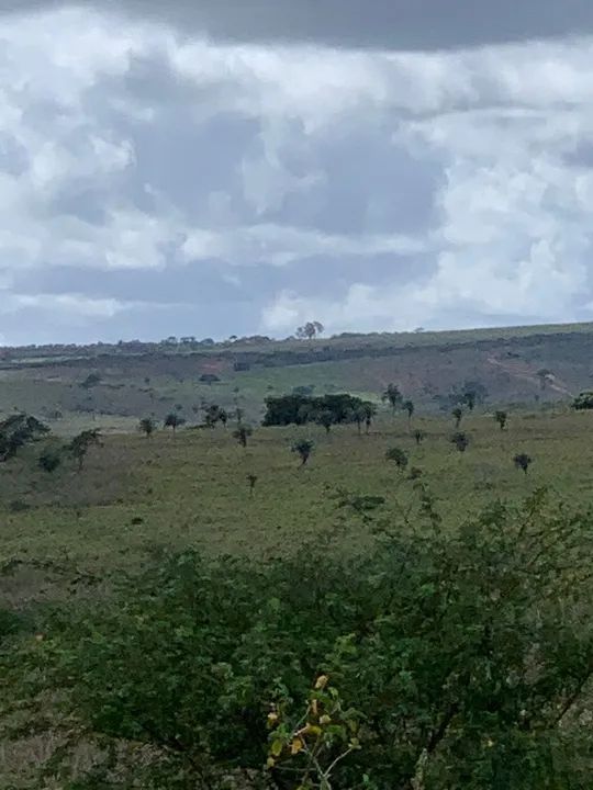 FAZENDA EM BIRITINGA - 2000 TAREFAS - Foto 5