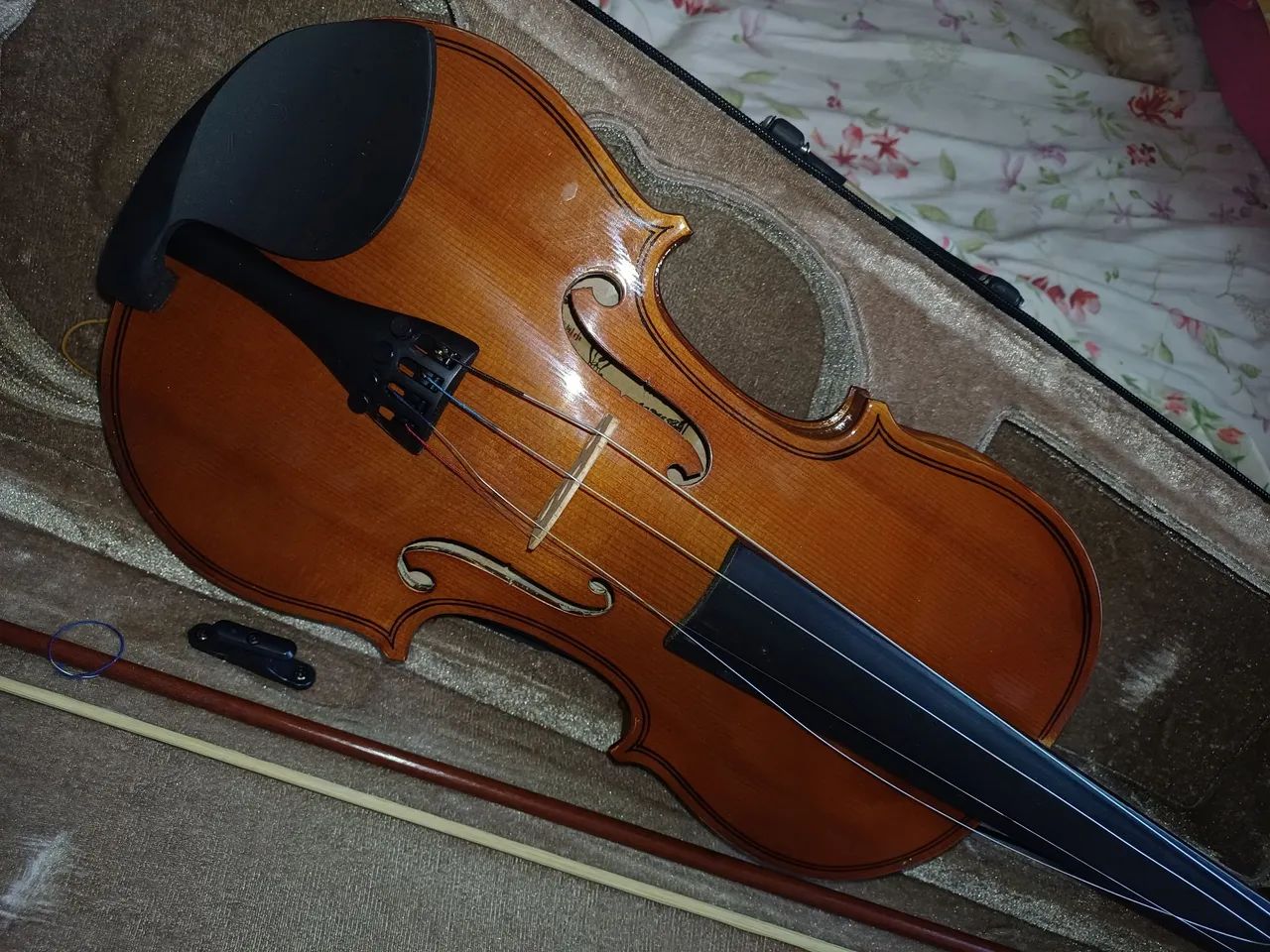 Violino  - Foto 2