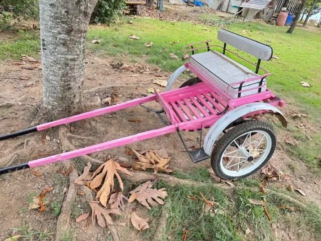 Ponei com charrete - Foto 4