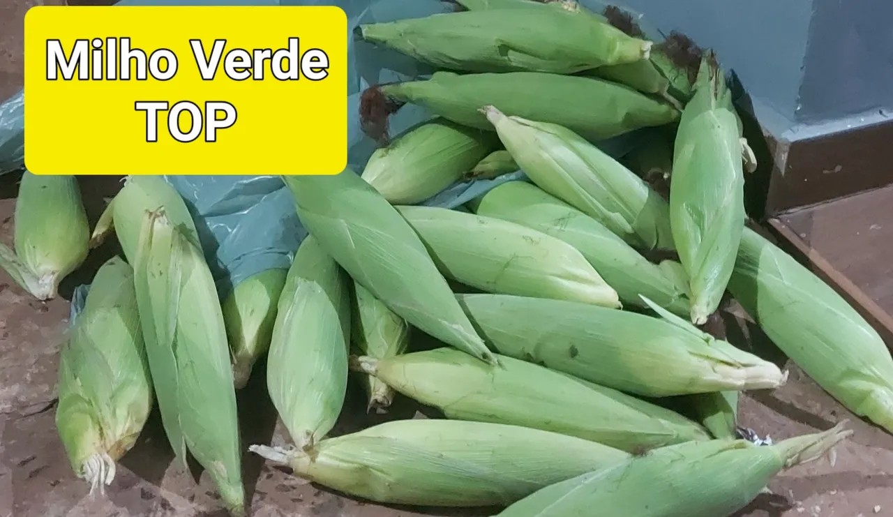 Milho Verde TOP APROVEITE ?