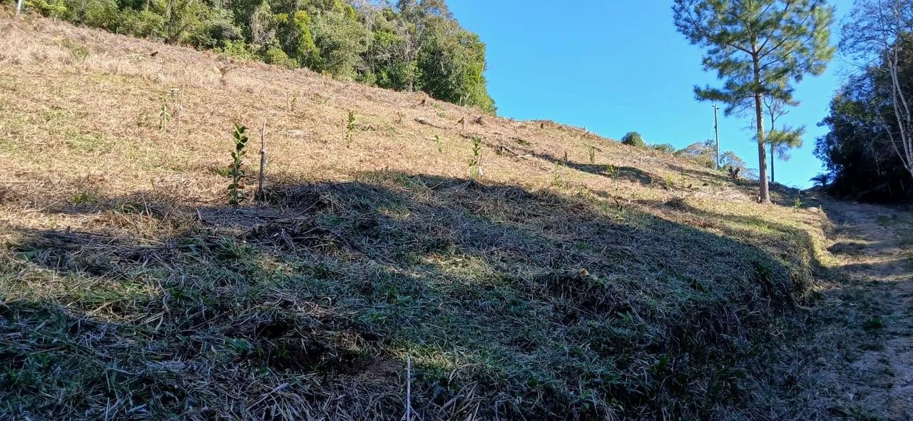 ANITÁPOLIS/SC - Lindo terreno para sítio com 3hectares  - Foto 4