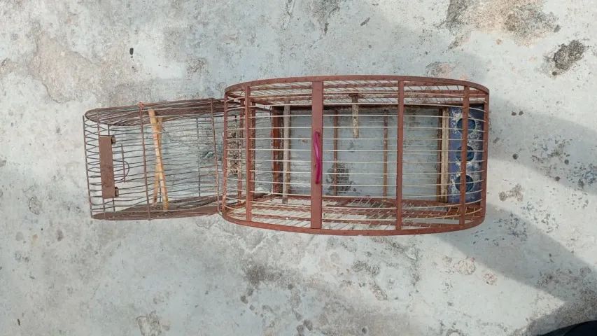 Gaiola para Pássaros - Foto 2