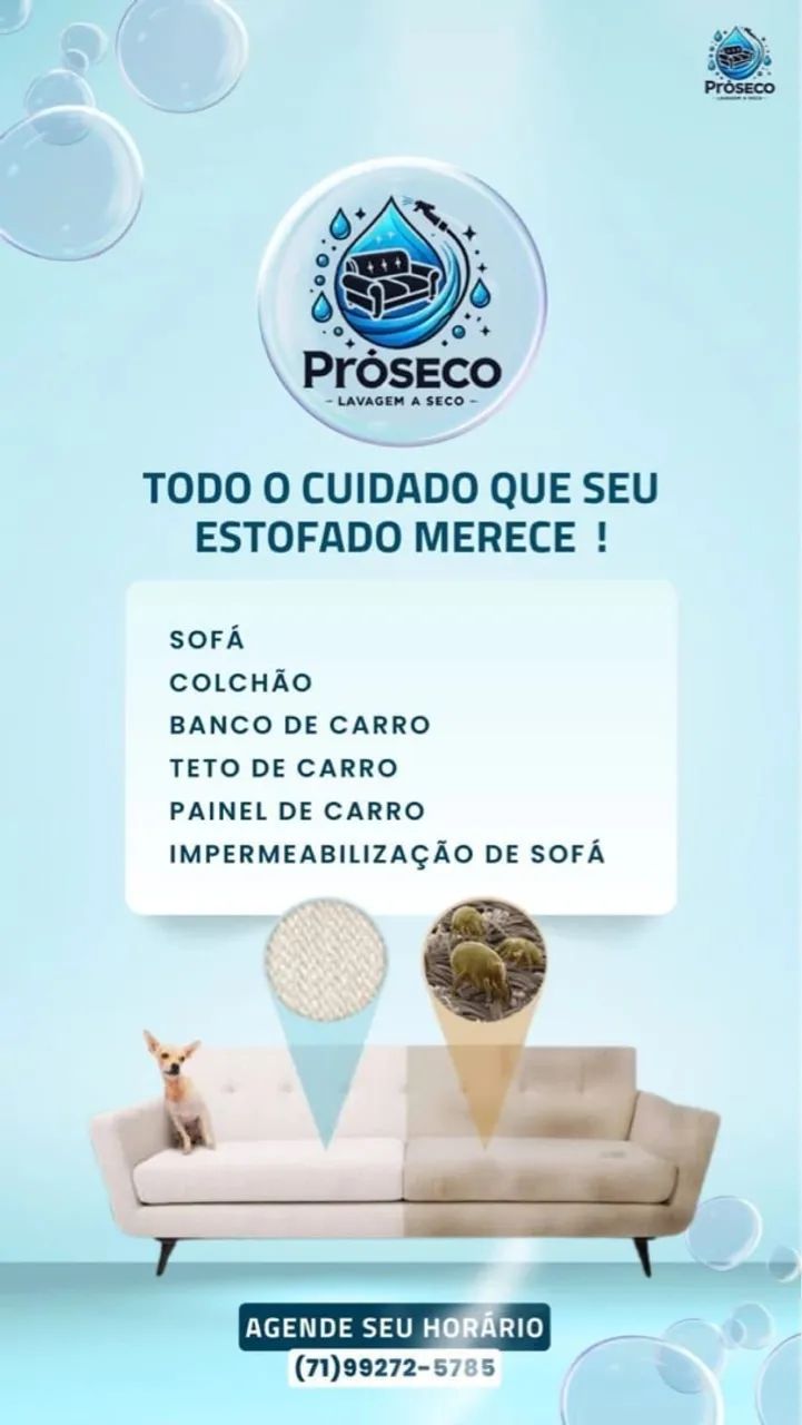 Lavagem a seco 