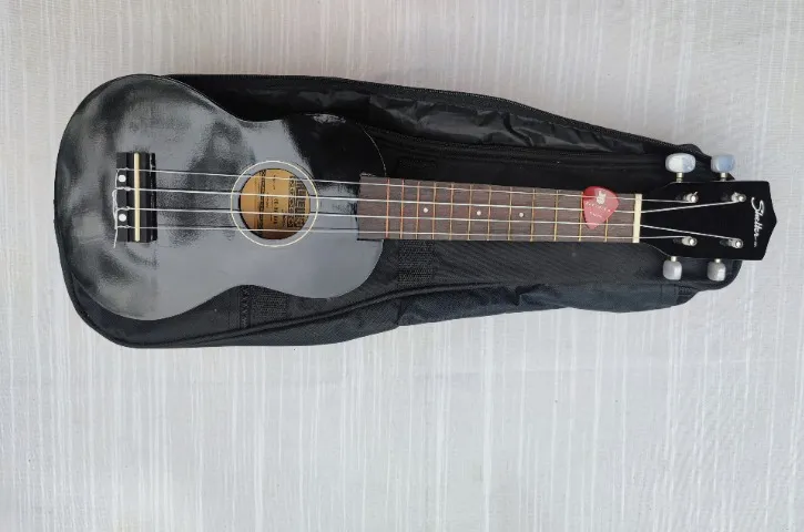 Ukulele Soprano Shelter