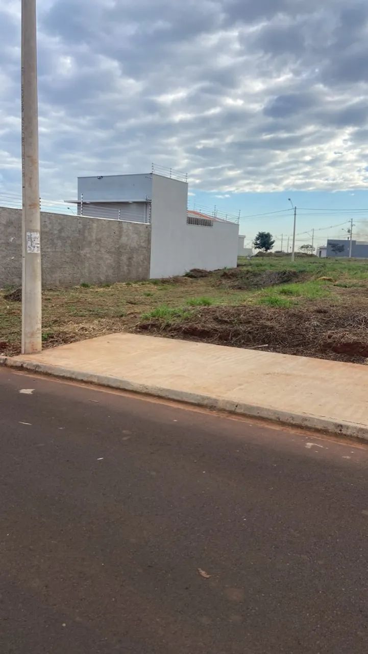 Terreno jardim sul 