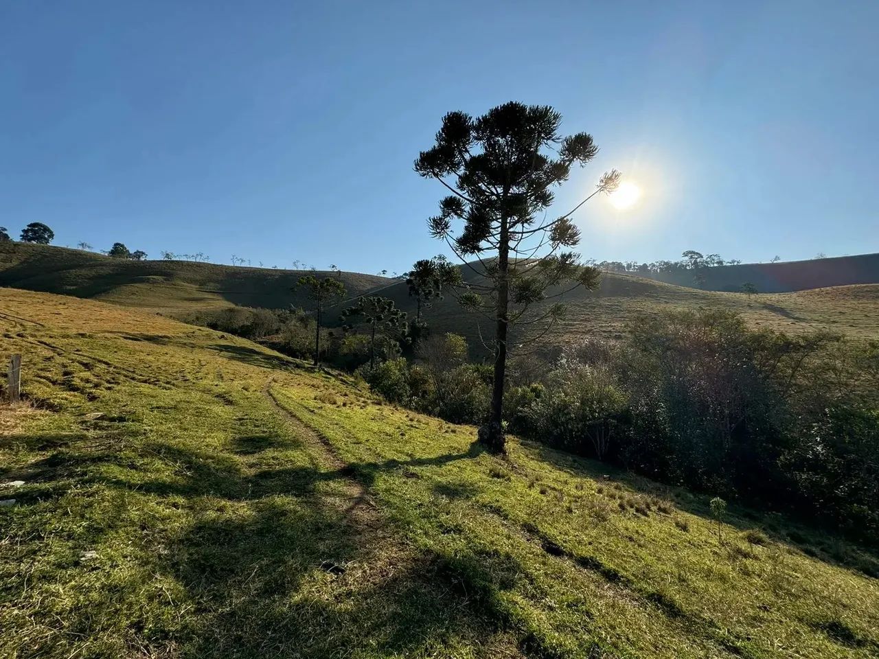 VENDA  Sítio de 50 hectares em Pintos dos Negreiros!!! - Foto 5