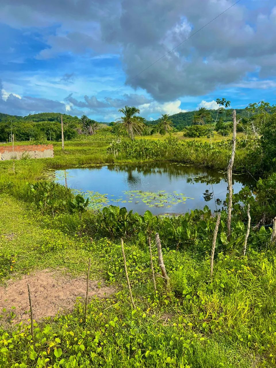 Excelente Sítio com 30 hectares, em Mamanguape,  multa água, rio perene - Foto 4