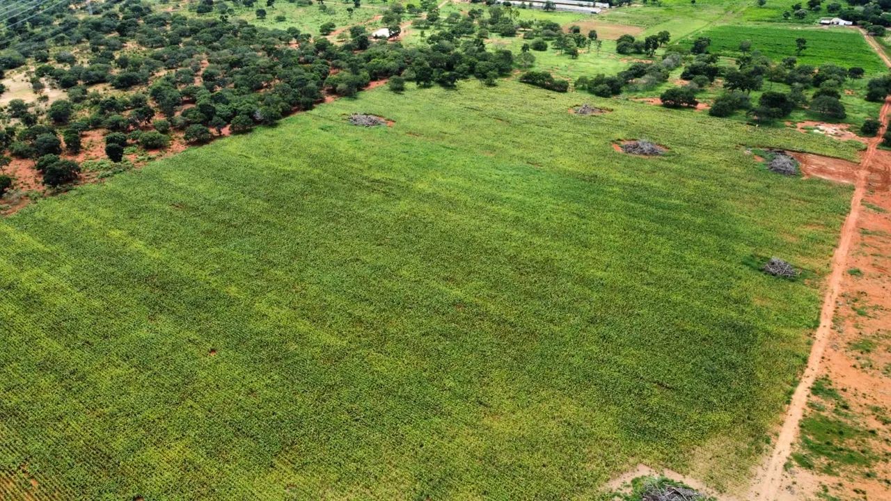 Foto - Belo Horizonte - Floramar