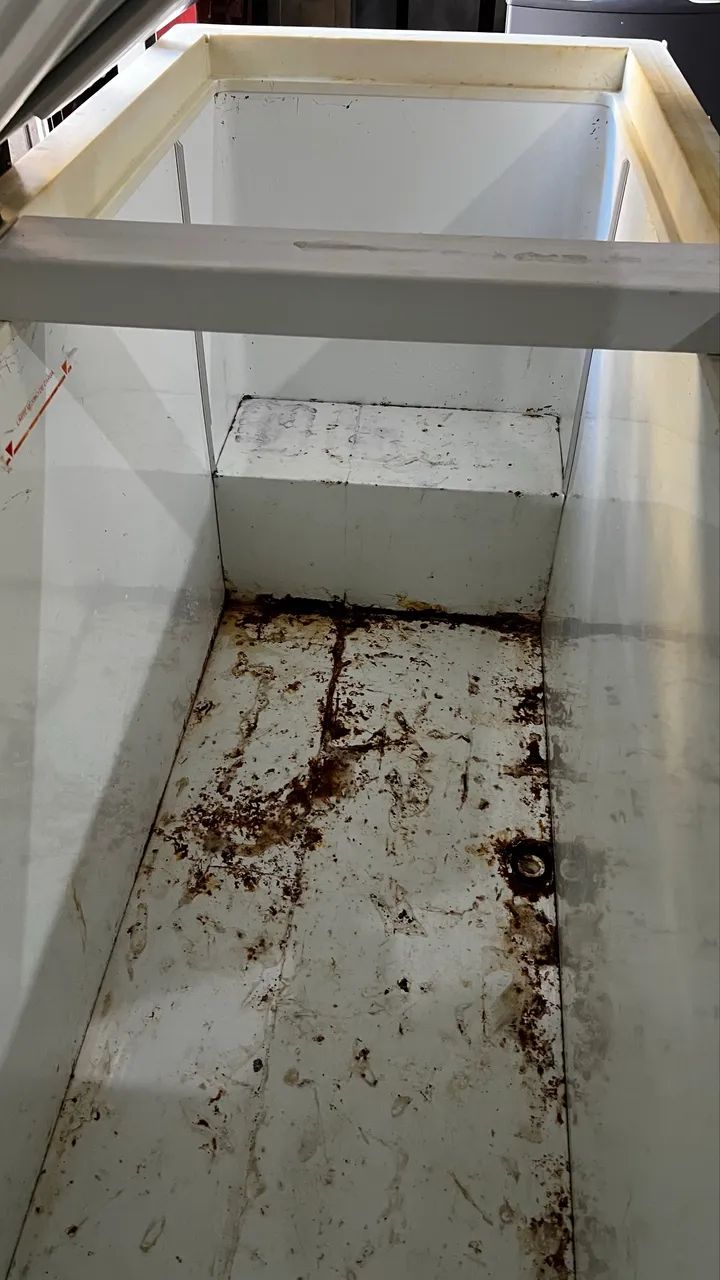 Vendo freezer FRICON - Foto 2
