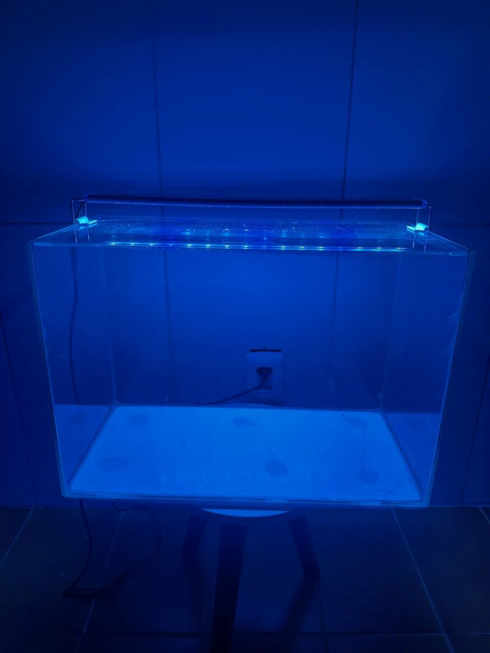 Luz de aquário 