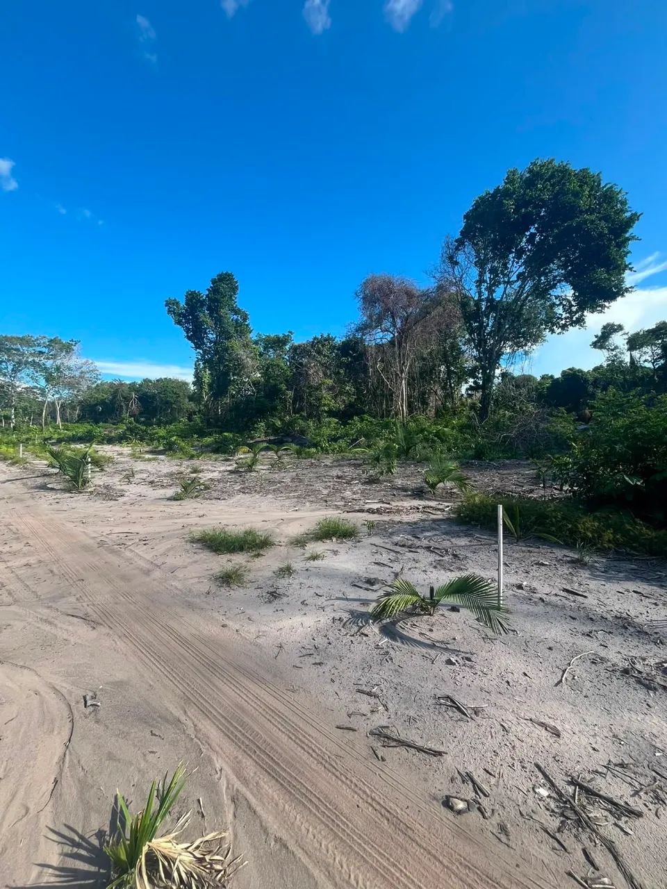 TERRENO A VENDA RAMAL DOS COELHOS - Foto 2
