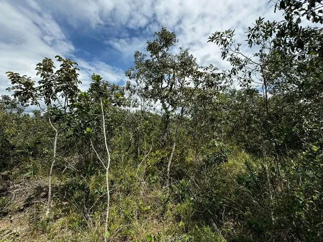 Lote 800m2, 16x40, com frente e fundo para rua - Foto 3