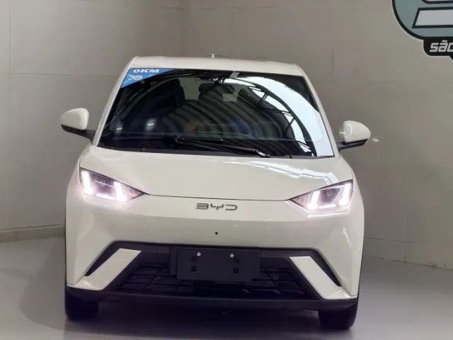 BYD Dolphin Mini (Elétrico) 2027