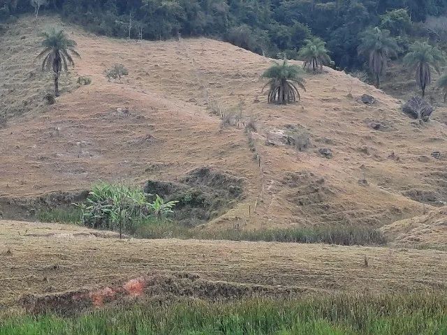 Fazenda no Jaguaraçu - Foto 5