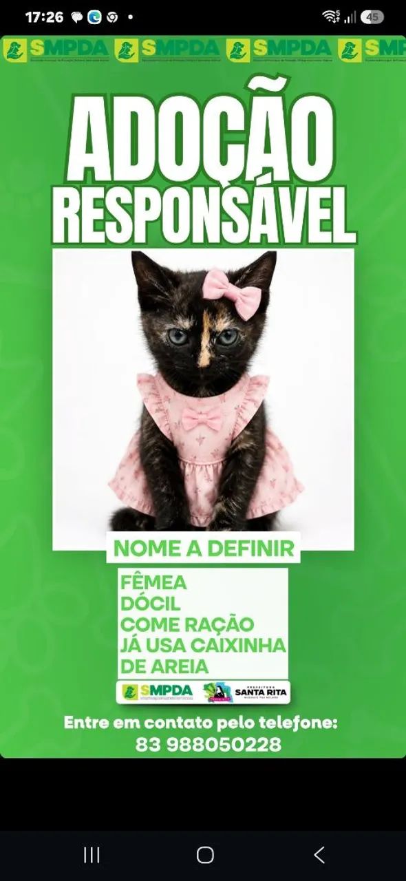Adoção responsável 