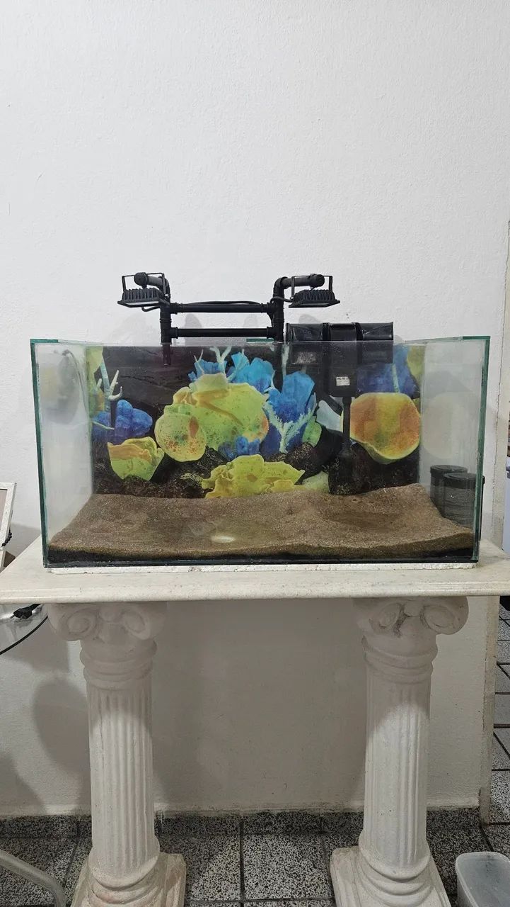 Aquário 