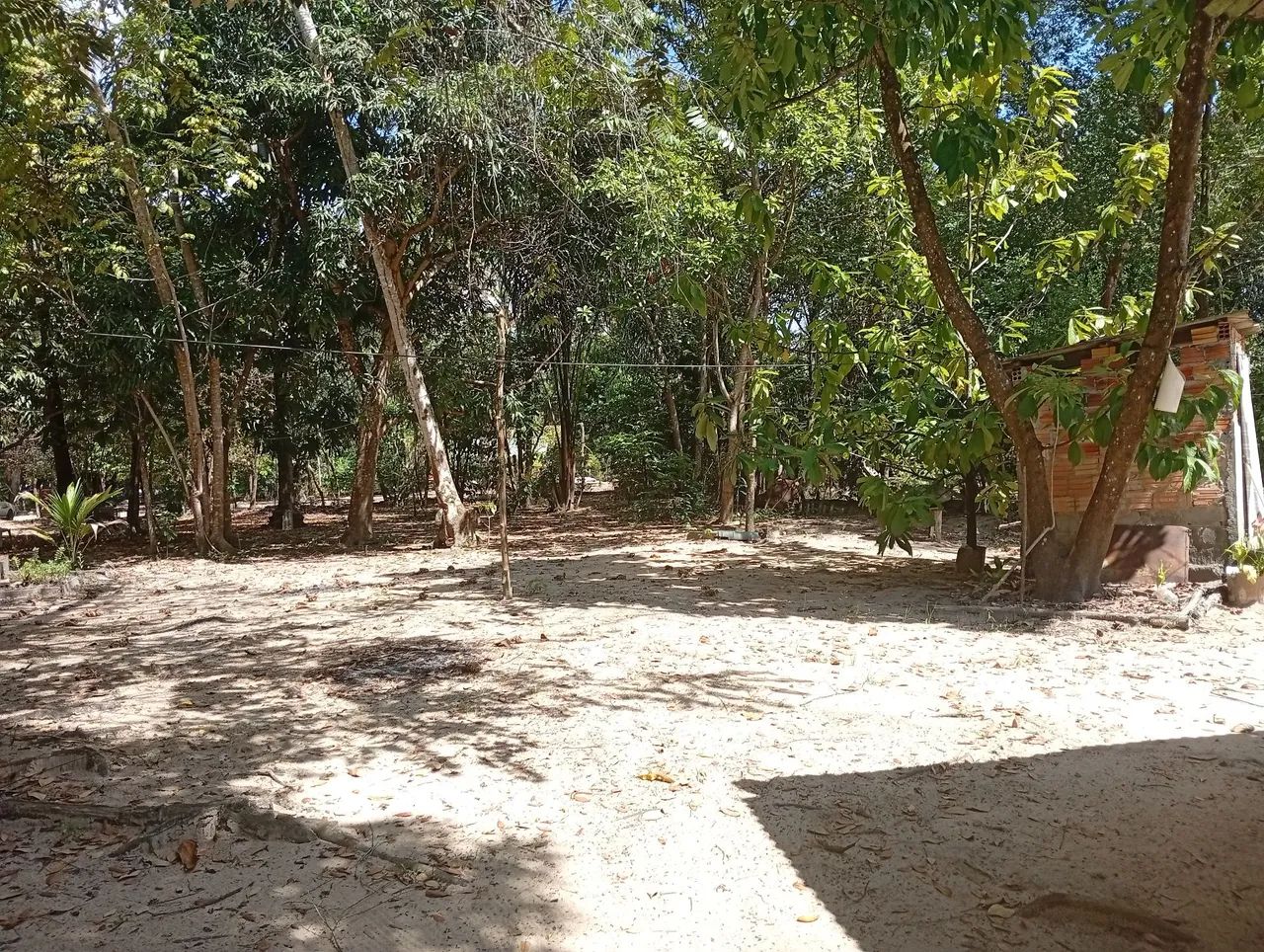 Vende-se um sítio  - Foto 4