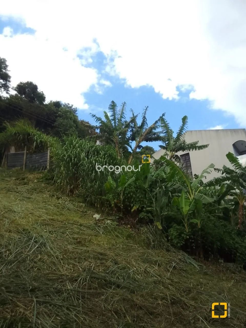 Terrenos Residenciais - Bela Vista II, São José - Foto 3