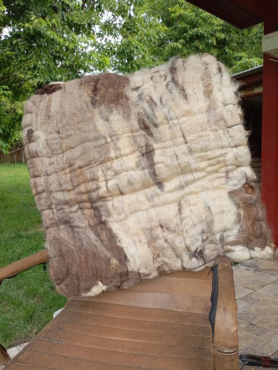 BARBADA, LINDA ENCILHA, COMPLÉTA, DE QUALIDADE, DE COURO. - Foto 4