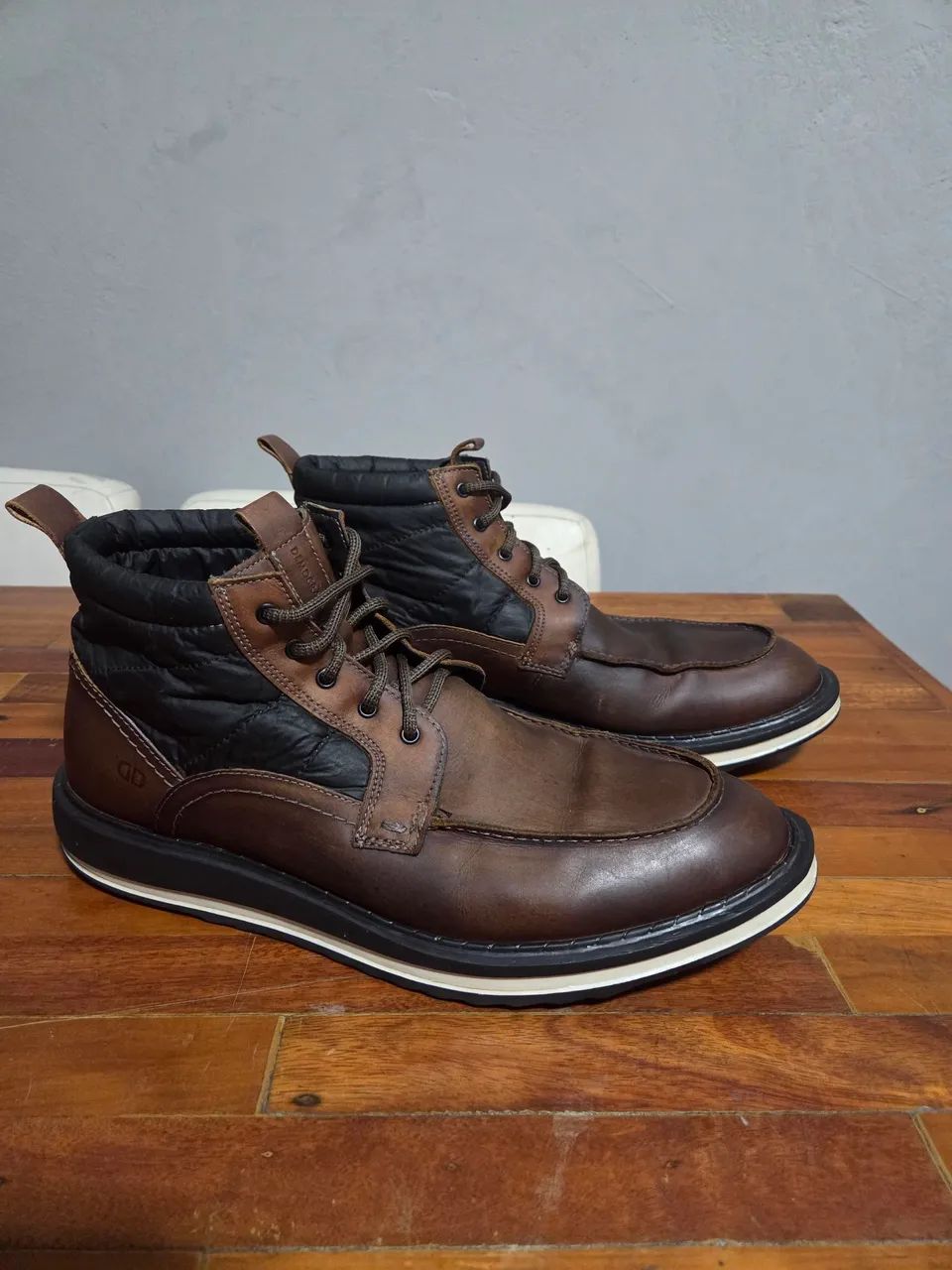 Bota democrata