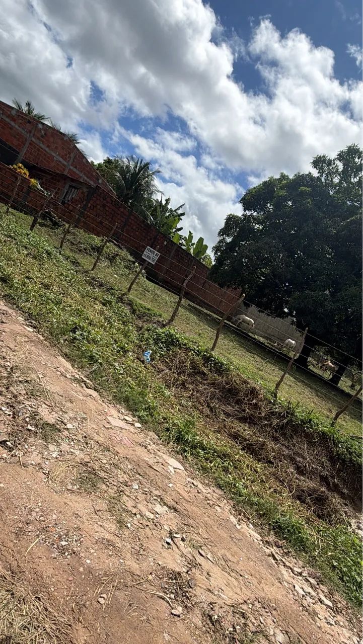 Chão de chácara 15X60 no Pai André 