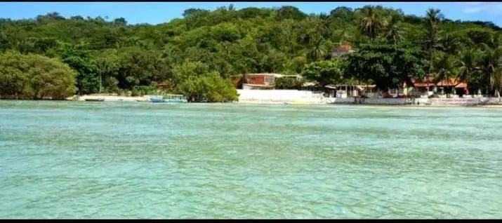 Excelente terreno em ilha de maré praia das neves  - Foto 8