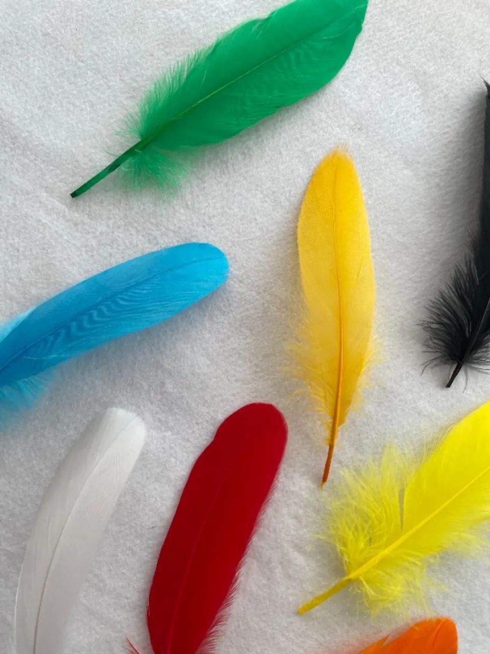 Pena de Ganso - Foto 2