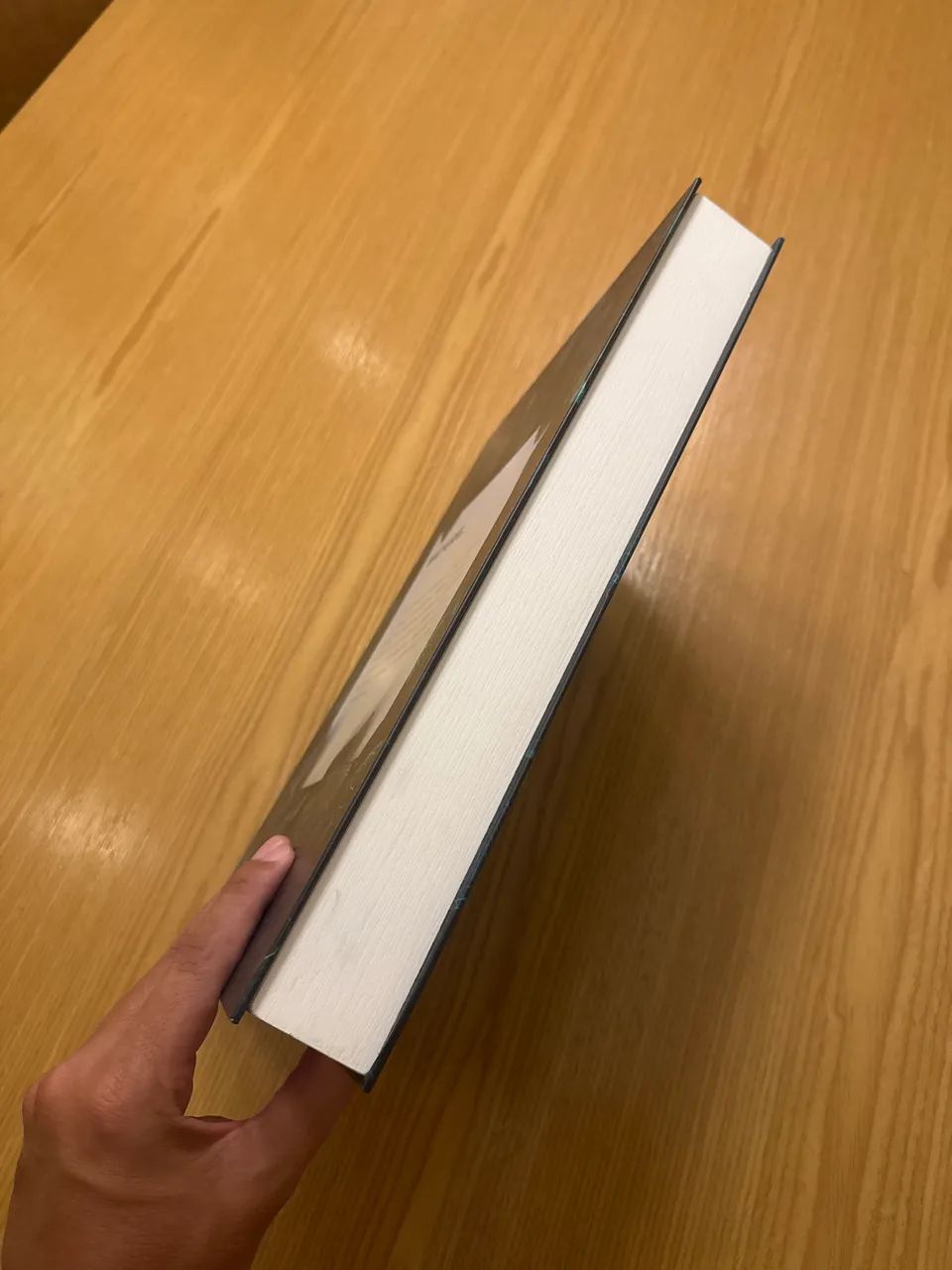 Livro caixa nature para decoração  - Foto 3