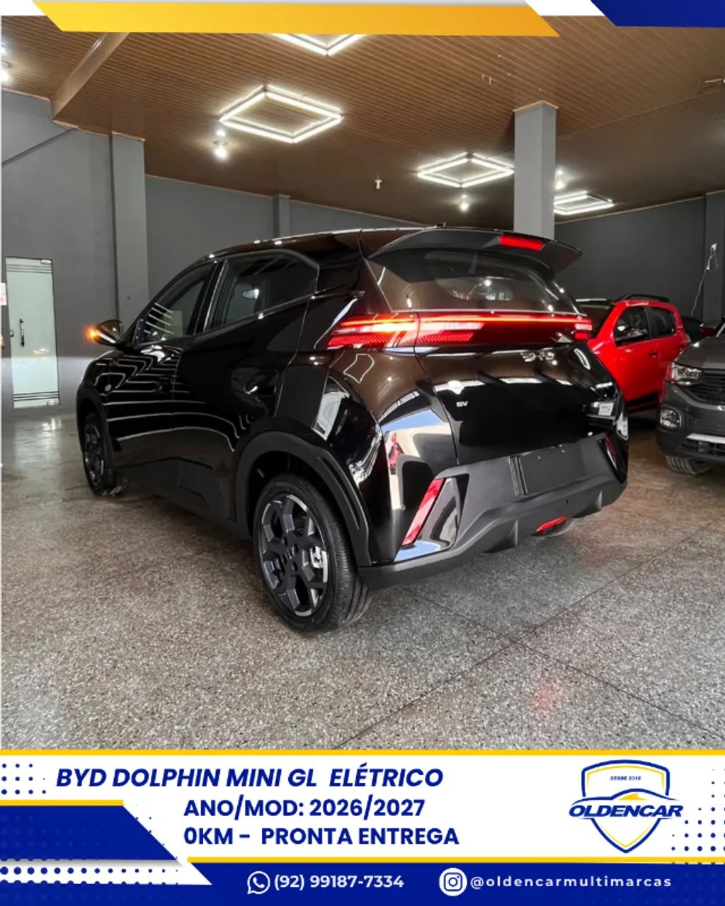 BYD Dolphin Mini (Elétrico) 2026 - Foto 4