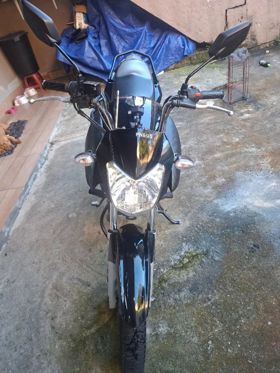 Vende-se factor 150 2024