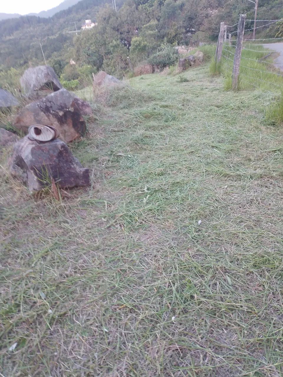 Limpeza de terrenos Aparti 250 reais  - Foto 2