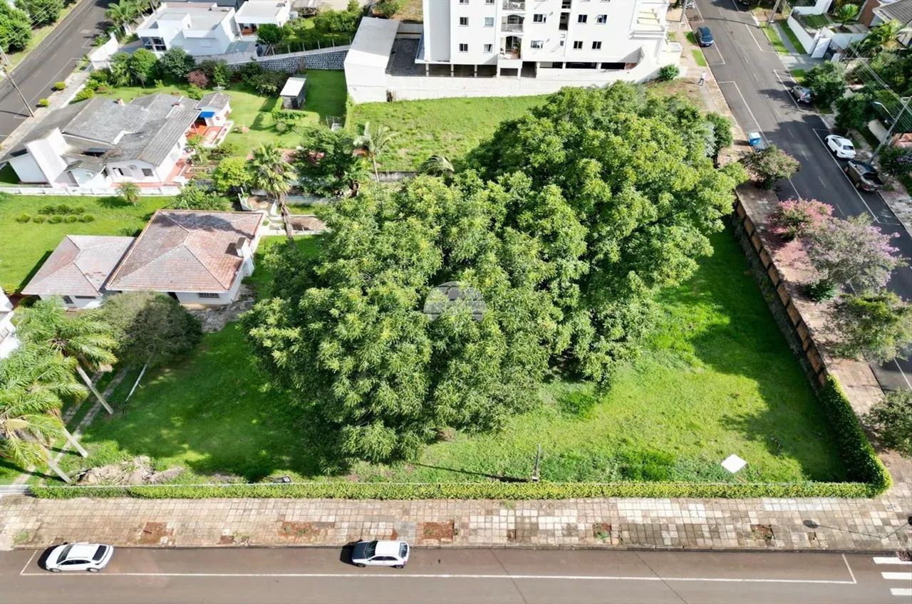 Vendas Terreno Pato Branco PR - Foto 4