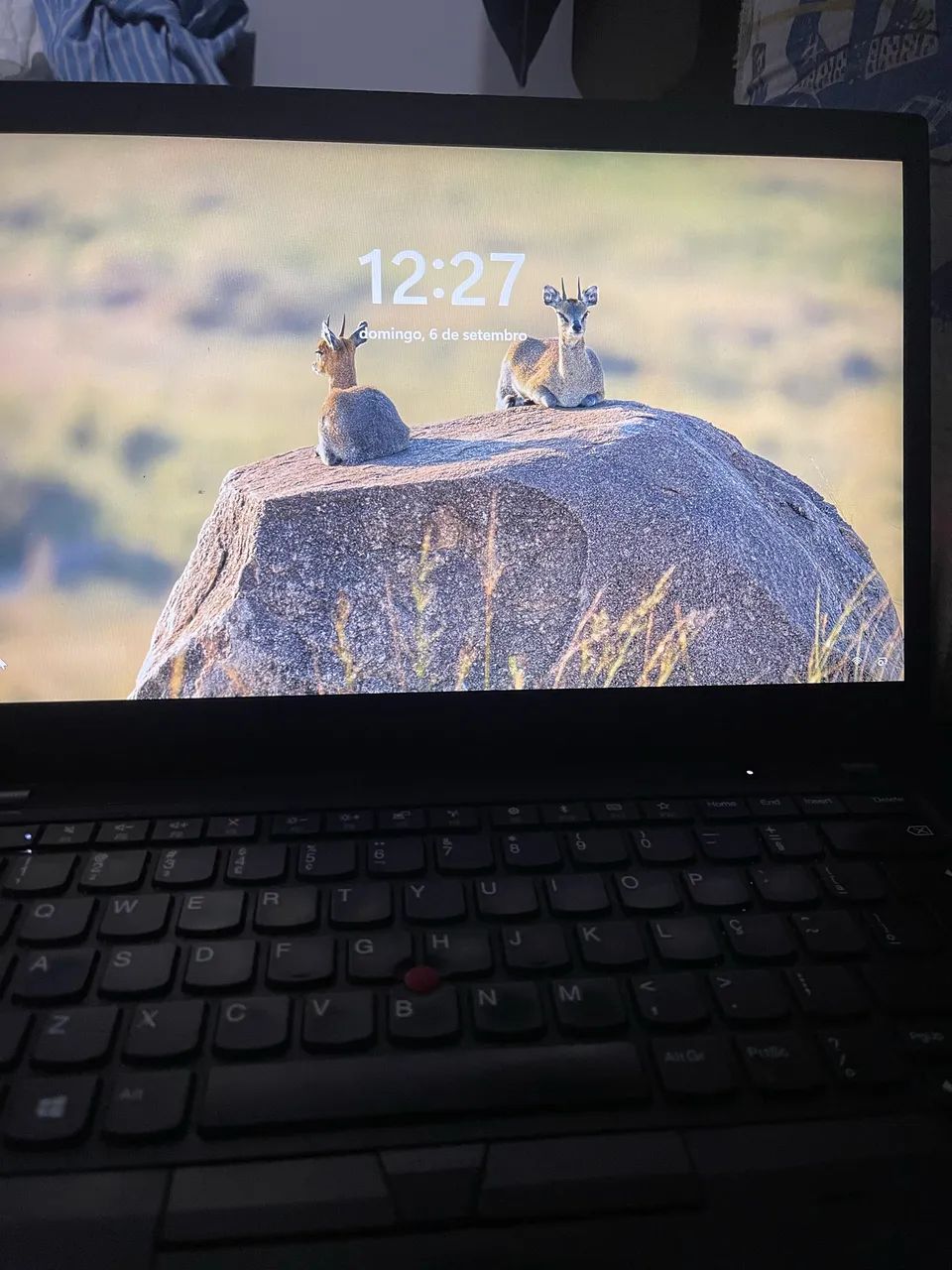 Lenovo ThinkPad T495 - Foto 2