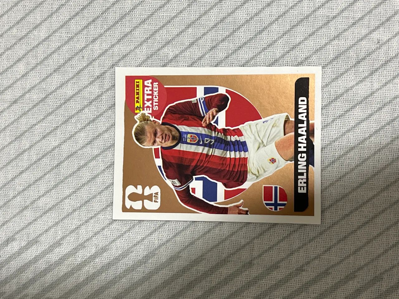     Haaland Bronze Copa Panini - Figurinha de Coleção