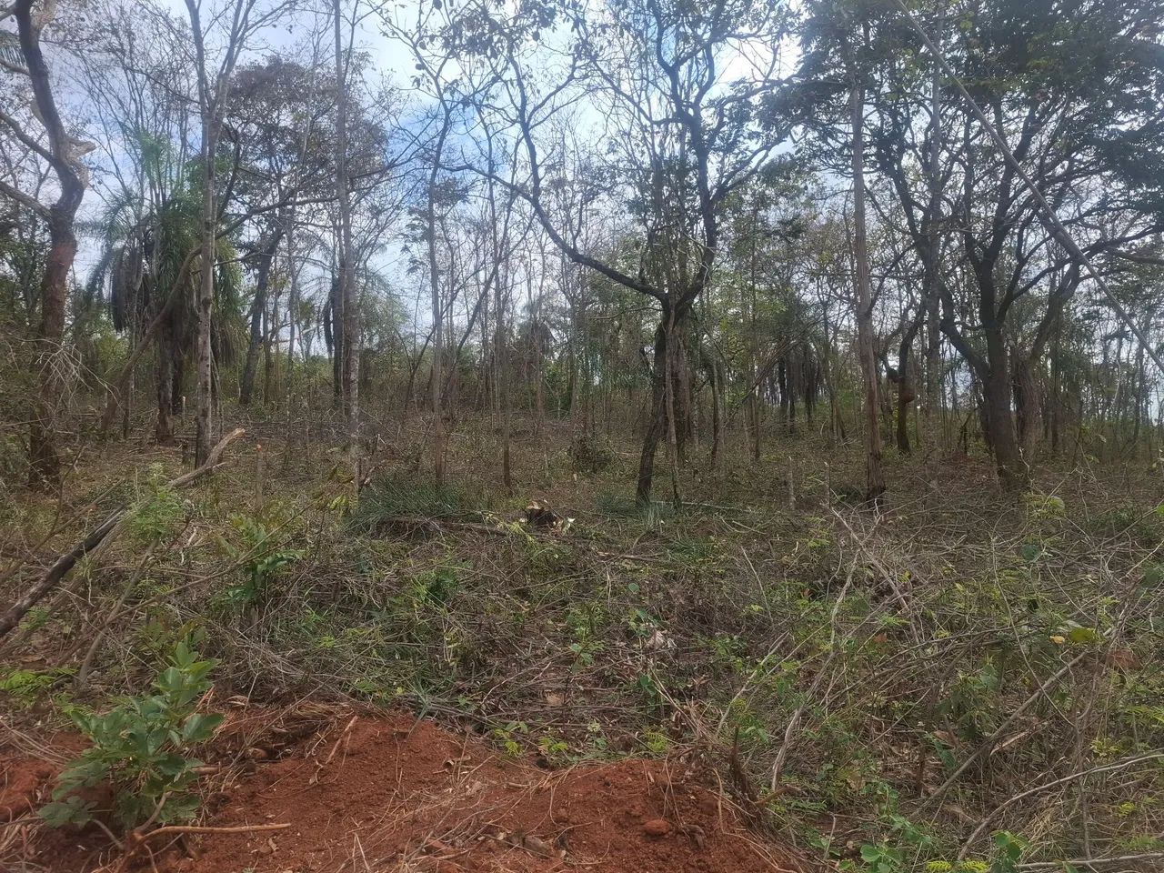 Vendo ou troco Terreno Andrequicé - Foto 4