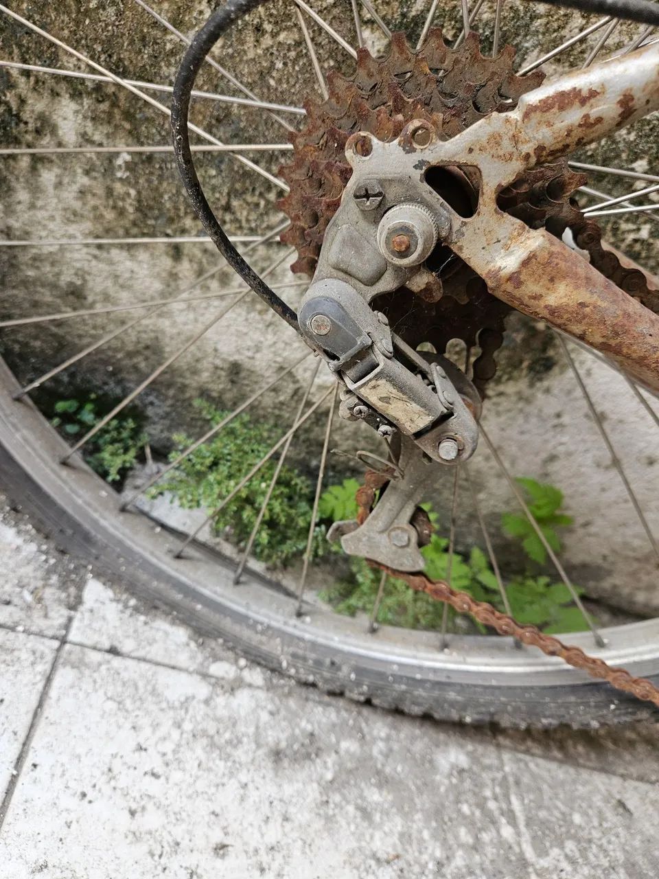 Bicicleta  - Foto 4