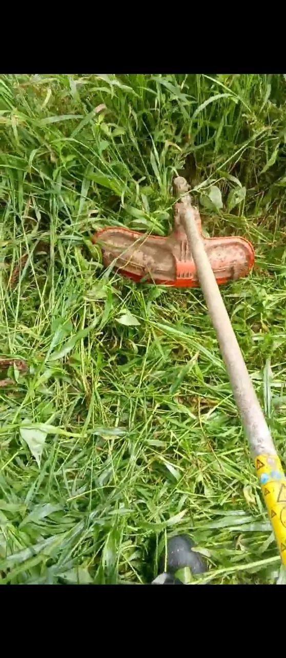 SOMOS UM CASAL DE CASEIRO  - Foto 5