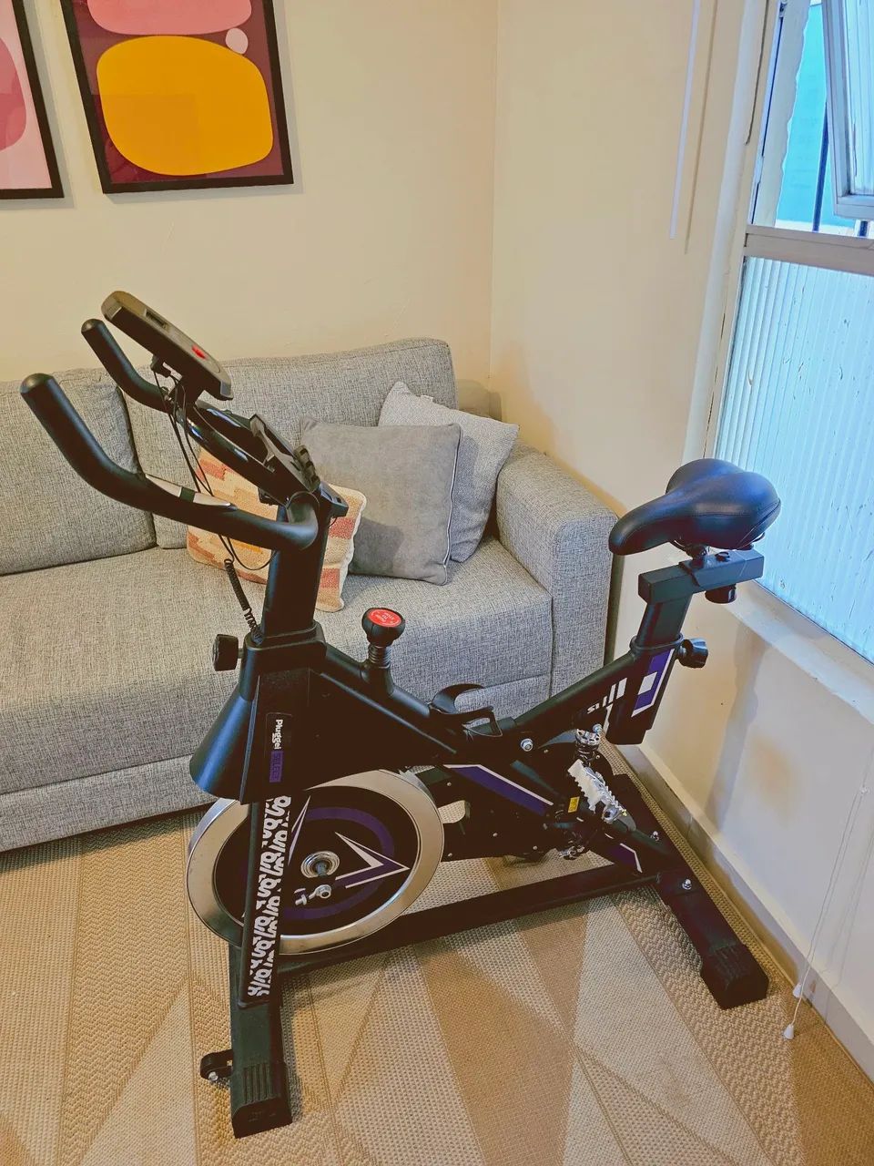 bicicleta ergometrica 