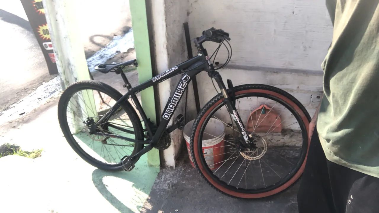 Bicicleta 29 