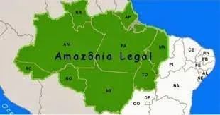 AMAZONAS: Área a venda de 50 mil hectares, com a documentação completa. - Foto 2