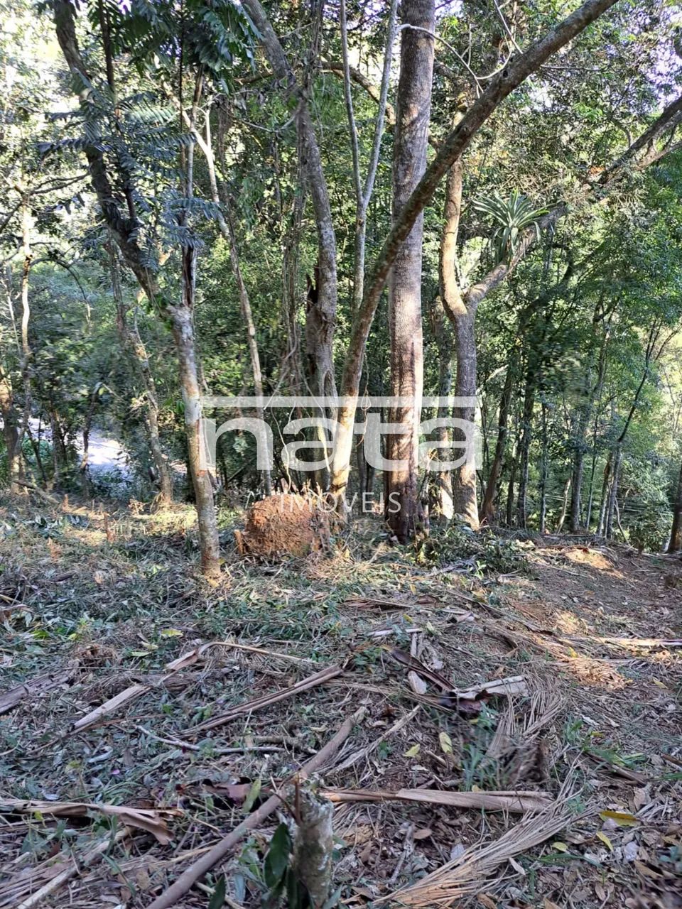 Terreno | 1870m² | Nogueira | Petrópolis - Foto 2