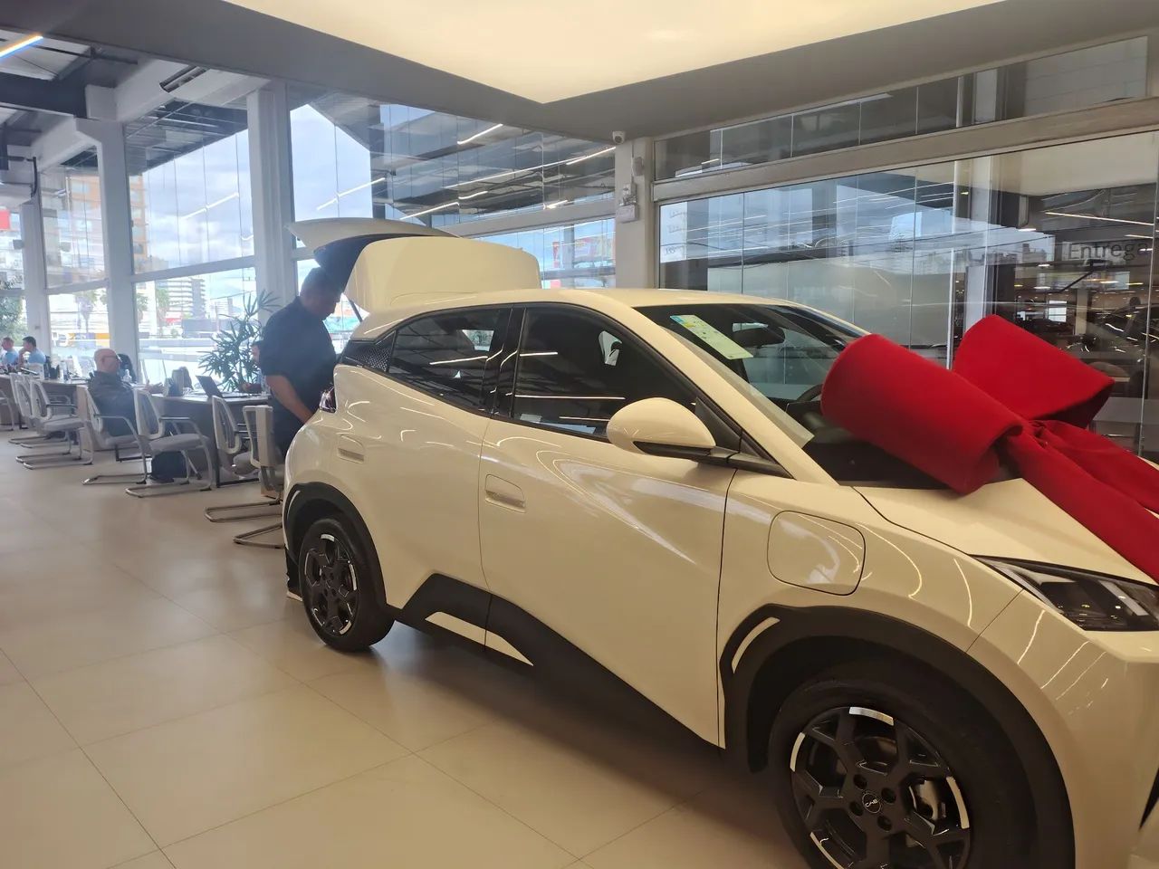 BYD Dolphin Mini (Elétrico) 2026 - Foto 2
